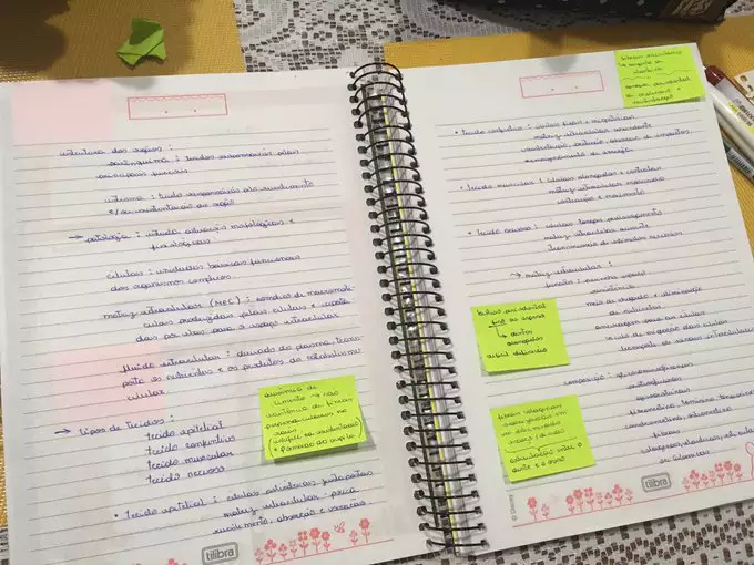 Passos para organizar os estudos para concurso